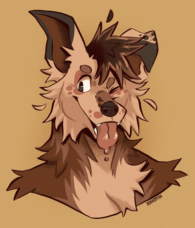 @Dokkopi (𝕏)